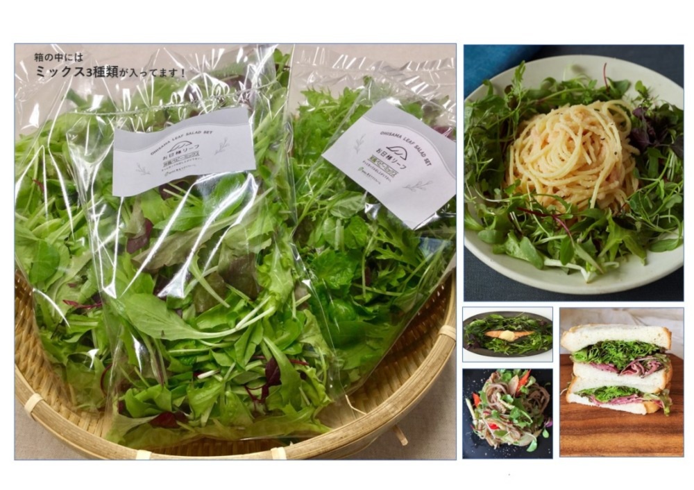 豊かな香り彩りのrestaurant salad サラダ野菜詰め合わせv（いちご好き 
