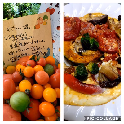 みんなの投稿の画像