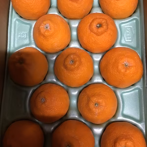 おすすめ❗️かわいい小玉デコ2、5k12〜13玉