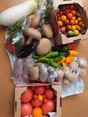 みんなの投稿の画像