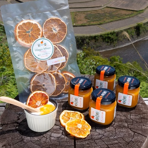 ❪ドライ付】こだわりの味！完熟早生みかんの贅沢マーマーレード1瓶～