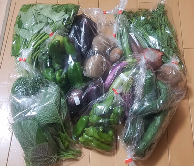 みんなの投稿の画像