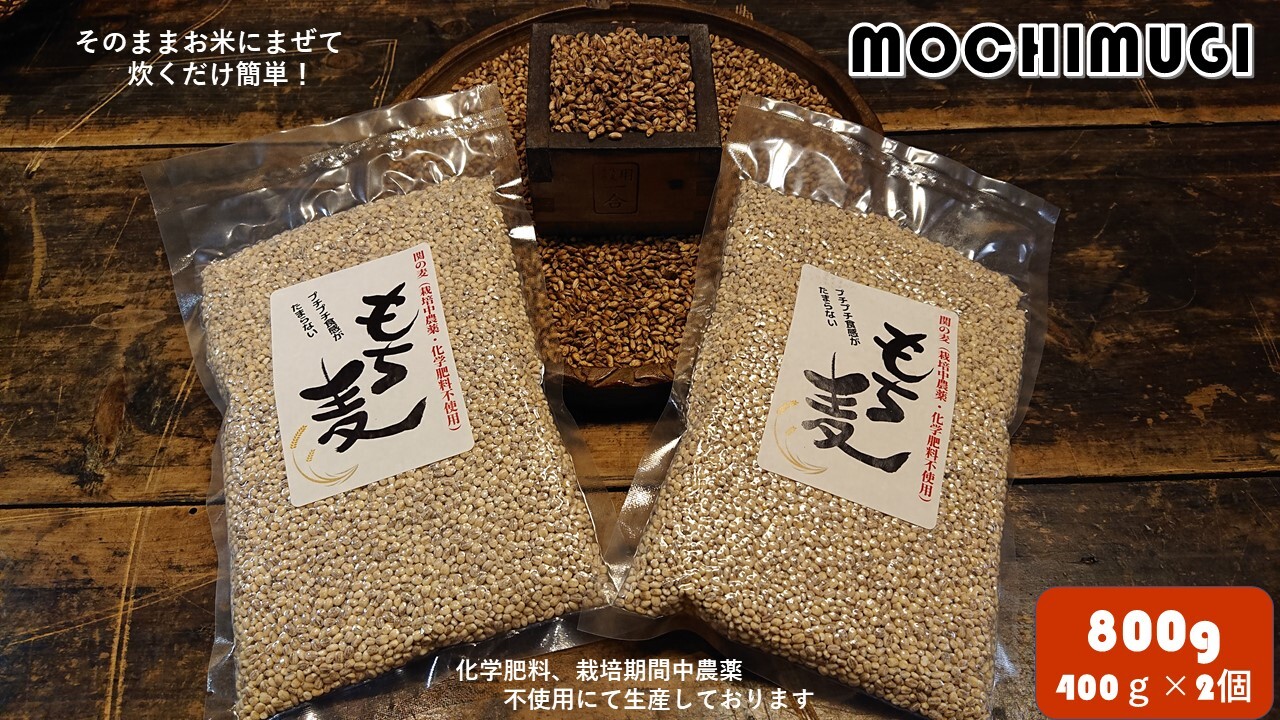 最安 もち麦 ダイシモチ 1.0kg×2ﾊﾟｯｸ somaticaeducar.com.br