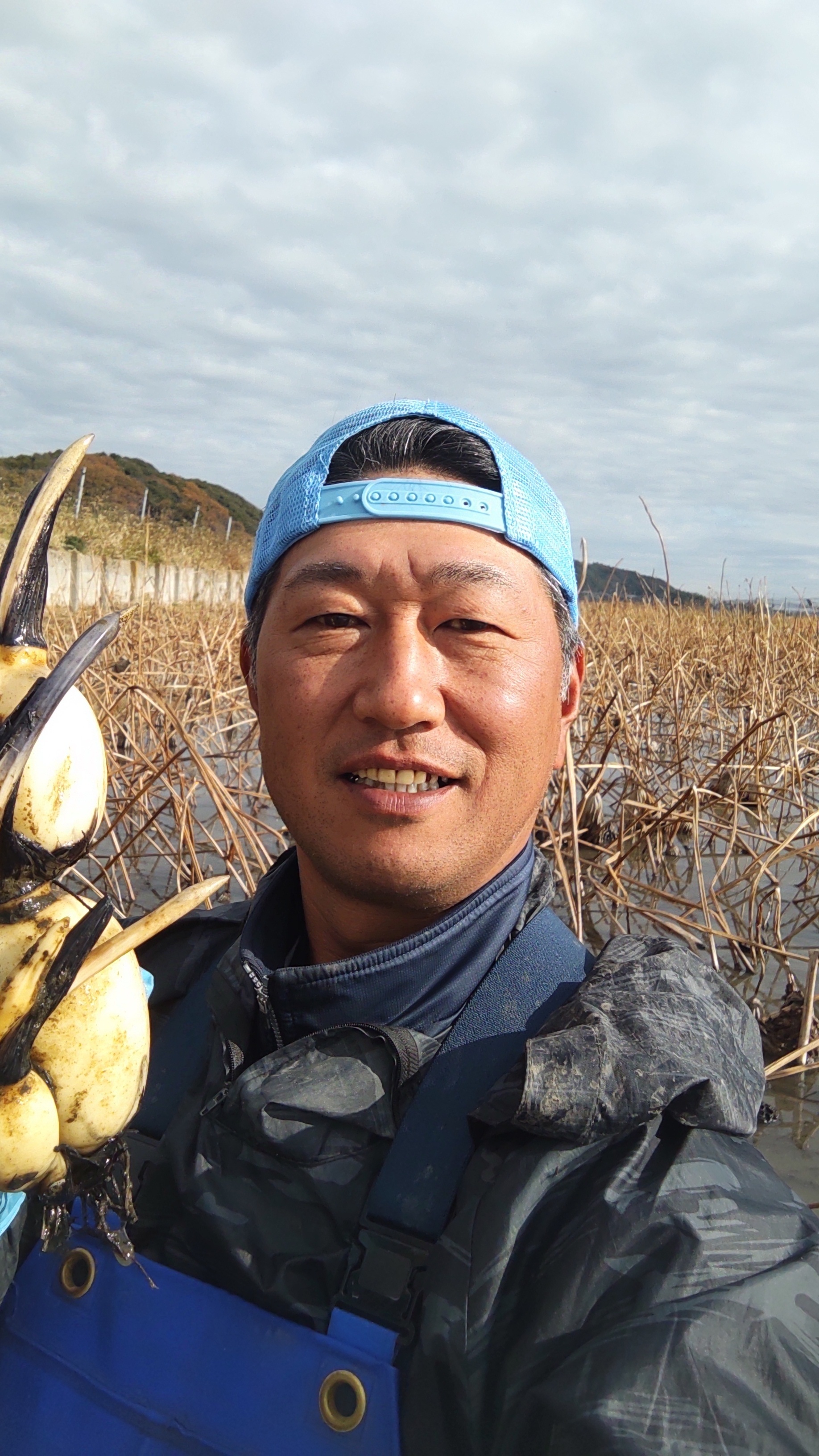 無垢のレンコンの看板、オブジェ作ります。 やわらかい レンコン農家さん、レンコンの商品を