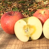 12月発送りんご  訳あり サンふじ 約10kg24-50玉 復興支援 葉とらず