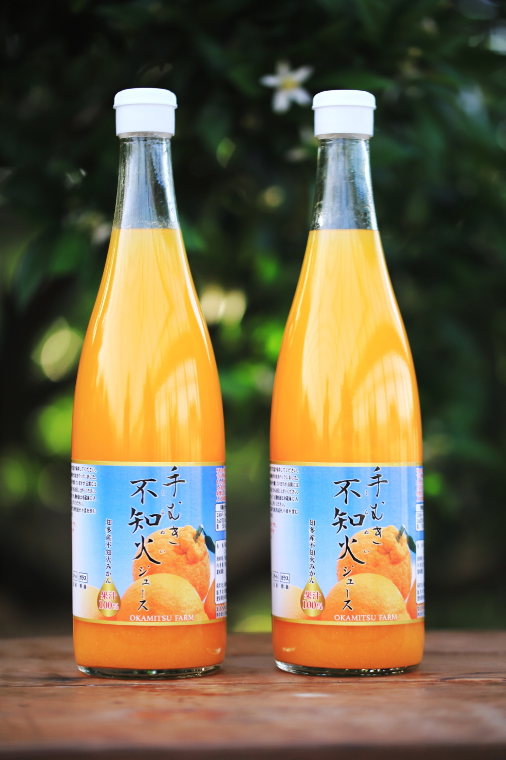 熊本県産 肥の豊(不知火)ストレートジュース 720ml×12本 肥の豊(不知火)ストレートジュース 720m×12本オンライン シ
