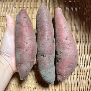 【12/18 大崎マルシェ現地受け取り】さつまいも3種食べ比べセット