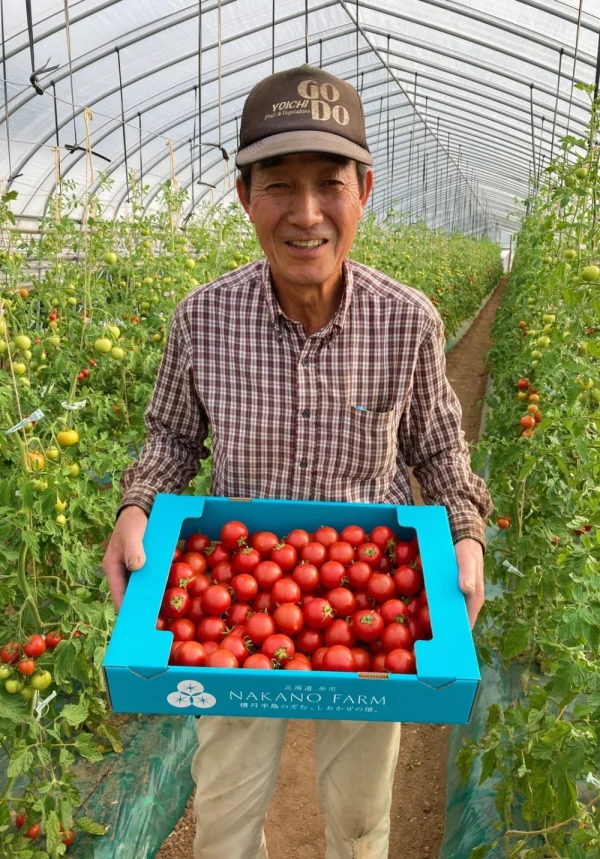 【しおかぜの畑で育てた】２種のトマト送料無料