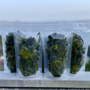 【松島産】天然ワカメ