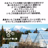 【南信州産アルプスいちご 先行予約販売】数量限定　1箱大粒12～15粒入