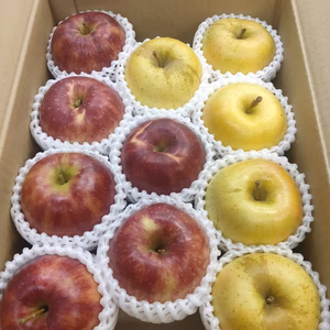 『常温便』『幸せ×爽やか』の詰め合わせ！「トキ×ジョナ」【訳あり】