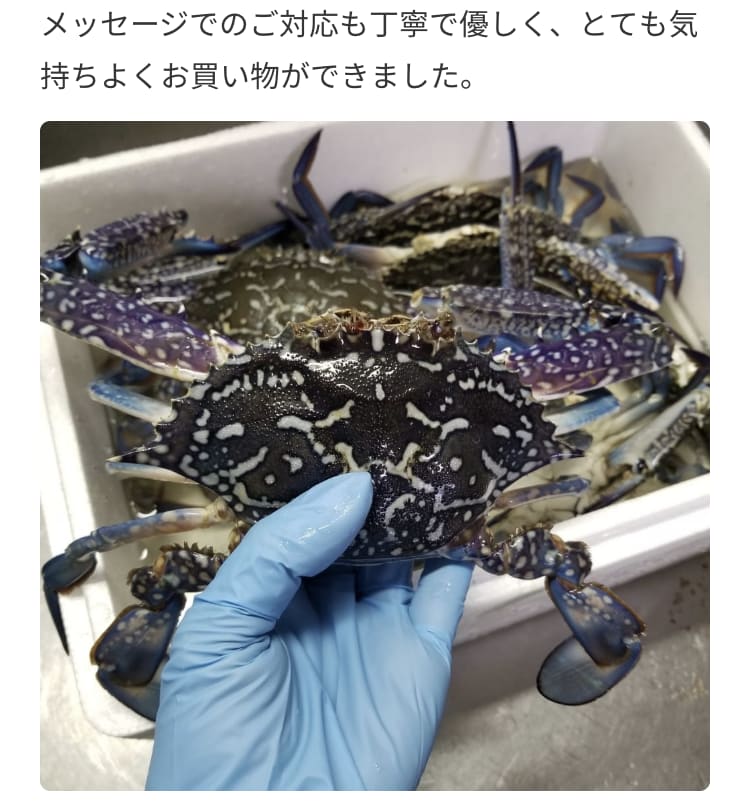 お腹が鳴っちゃう みんなのごちそうさま投稿10選 6月下旬編 農家漁師から産地直送の通販 ポケットマルシェ