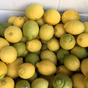 20日分または21もぎたてレモン1.5kgから希望は先に注文特記事項に