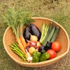 京都府福知山からお届け！自然栽培の夏野菜セット！！