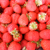 苺ゴロゴロ！【コンフィチュール/ジャム用】完熟・小粒 StrawberryBox