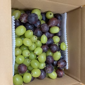 シャインマスカットとピオーネ　粒売り　約2kg