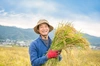 【予約販売】R2年度/イセヒカリ玄米・ISATOの自然栽培米～品格あるお米～