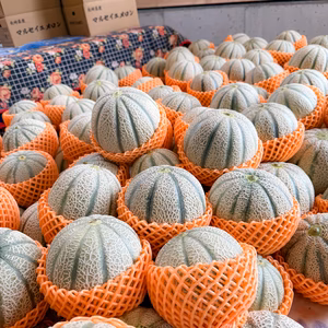 甘さぎっしり詰まった 家族で楽しむマルセイユメロン｜めろん2玉