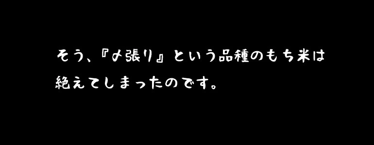 きねつき〆張りもち10切入45０ｇ　交換保証付