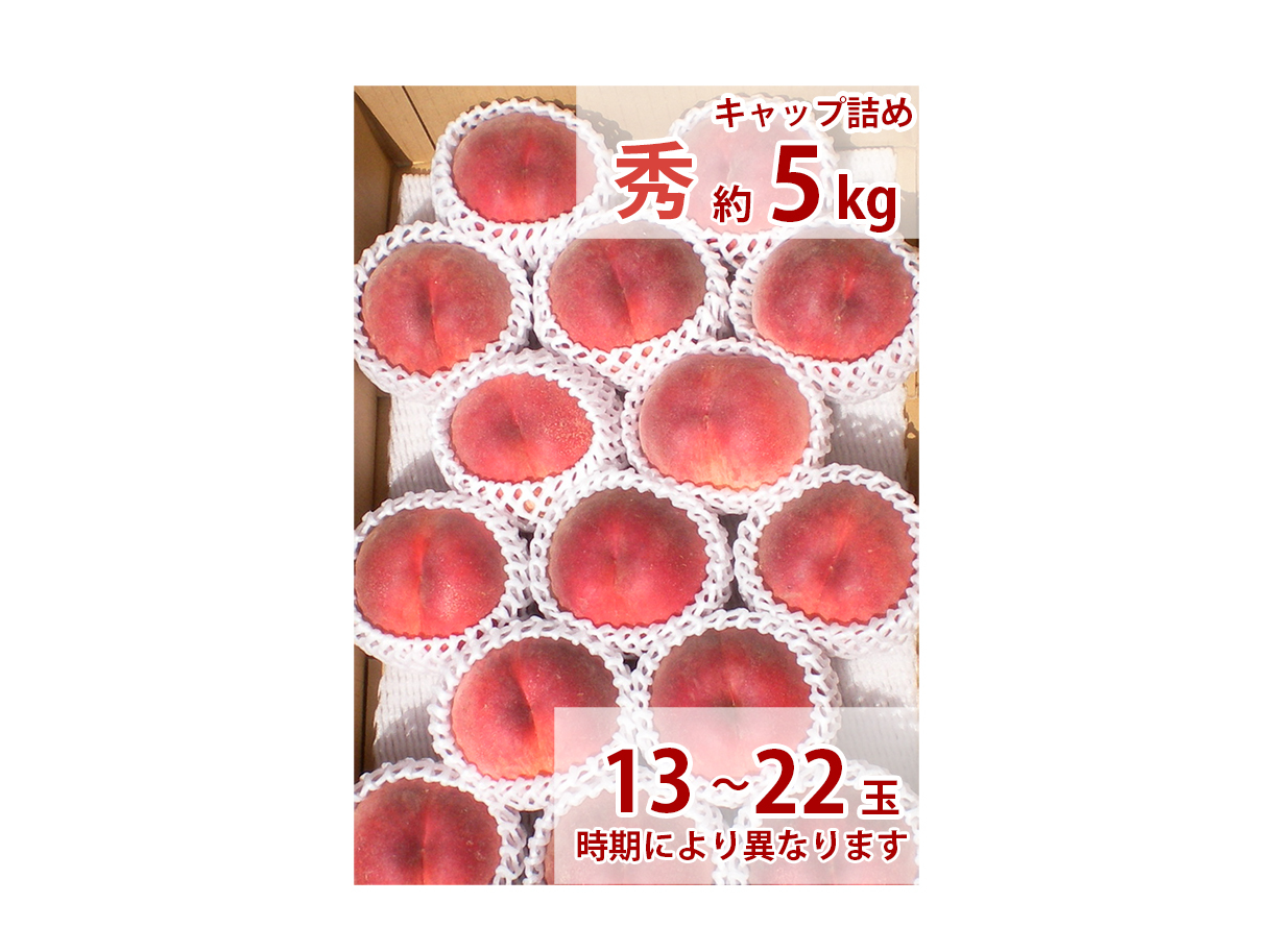 berry_berry_blossomR2年福島県コシ　白米　29kg 令和6年産 - とか米。世界でここだけ。