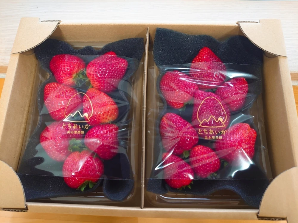 【美土里農園】 朝採れ完熟とちあいか不揃い 　1箱（270ｇ×2パック入）