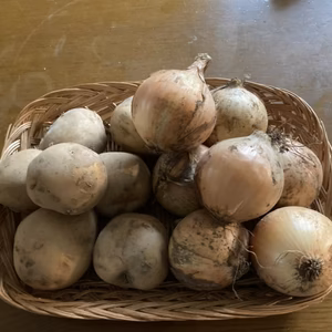 ジャガイモと玉ねぎセット（合計1.8ｋｇ）ホクホクの男爵と玉ねぎ(大小混在）