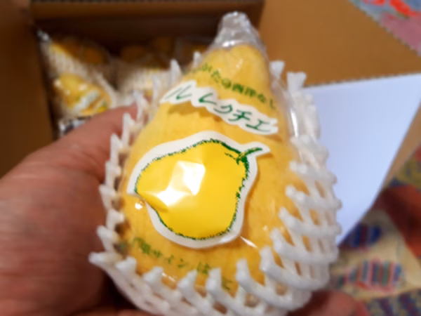 R6BM3『自家用』中玉3kg(10玉) ルレクチエ