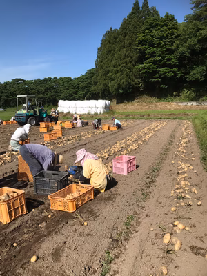 みんなの投稿の画像