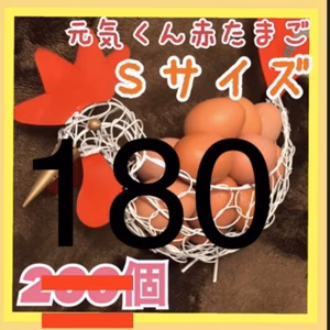 北海道沖縄用　元気180