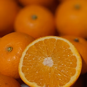 農家直送！はっさく　家庭用5kg〜【平武農園】和歌山｜有田｜田口｜こだわり