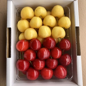 東北の商品一覧(65ページ目)｜ポケットマルシェ｜産直(産地直送)通販