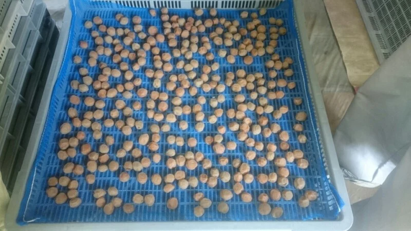 お弁当用　はちみつ小梅500g　2個