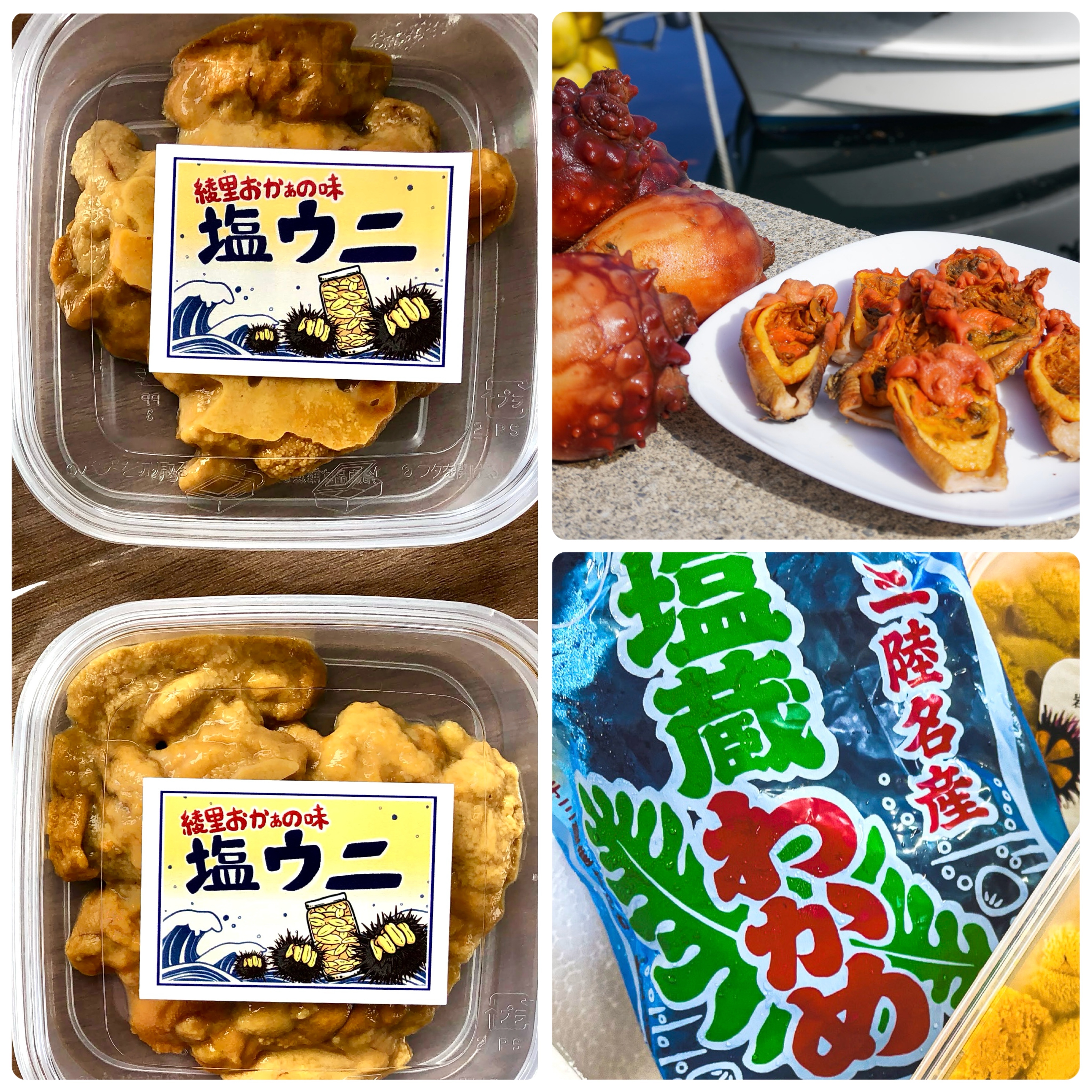綾里の海産物3点セット(塩ウニ・蒸しホヤ・塩蔵ワカメ) 2セット(塩ウニ×4・蒸しホヤ×4・塩蔵ワカメ×2)