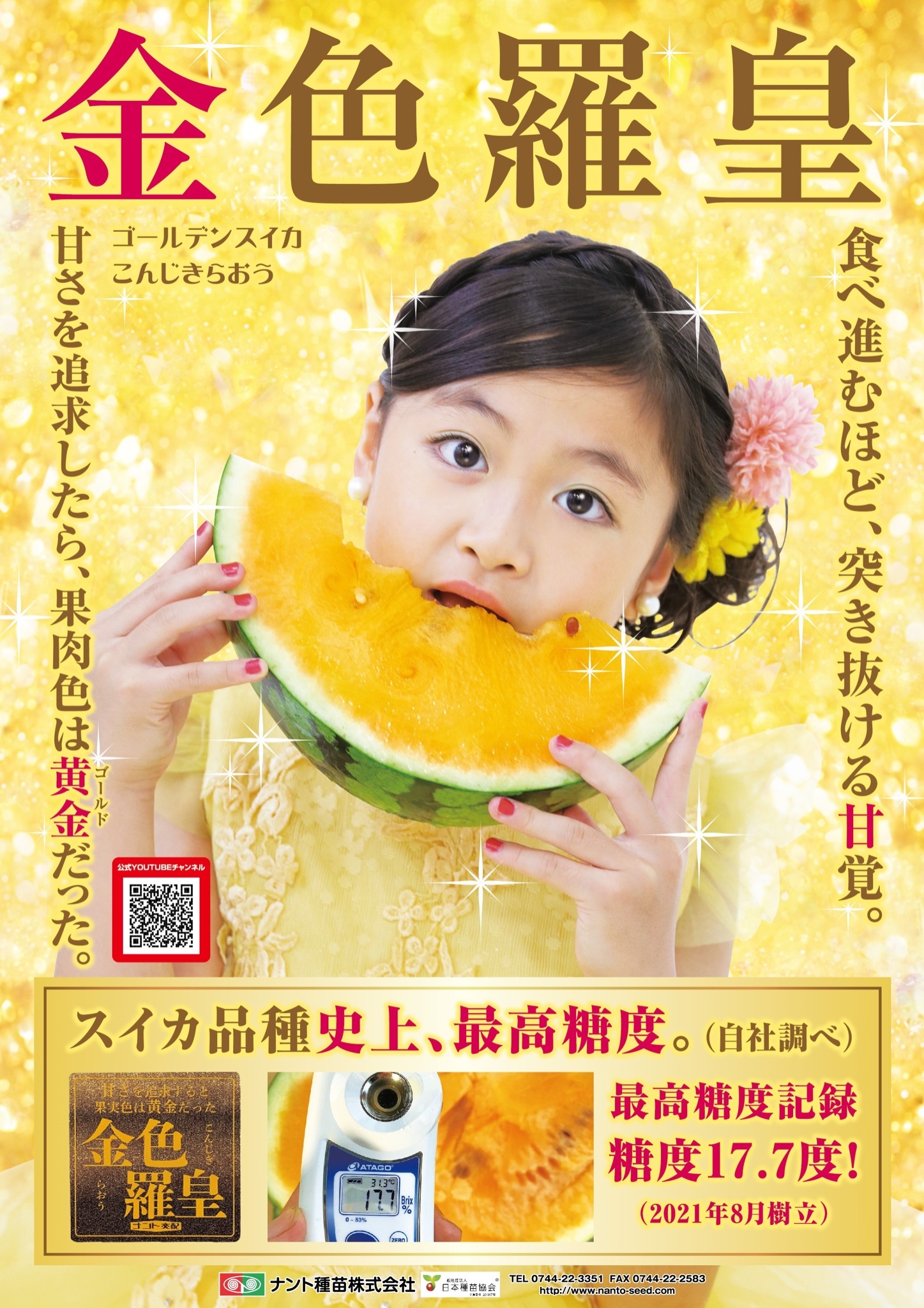 劇的に美味い！熊本産【金色羅皇】秀品3L2玉セット（17〜19k箱込）かめまる堂 劇的に美味い！熊本産【金色羅皇】秀品3L2玉セット（17〜19k箱込