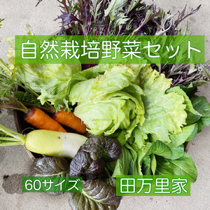 食のふるさと「田万里家」から野菜セットのお届け【栽培期間中農薬不使用】
