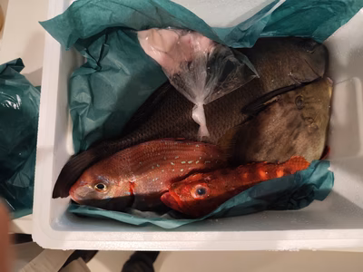 みんなの投稿の画像