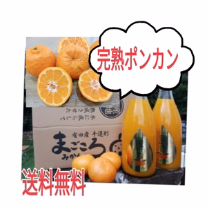 【送料無料】お味見のみ＆特別セット越冬ポンカン&みかんジュース2本セット