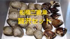 船橋三番瀬贅沢セット！ホンビノス貝+天然ハマグリ！