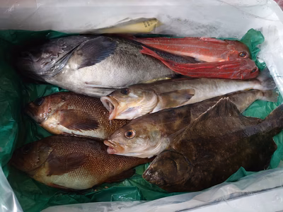 みんなの投稿の画像