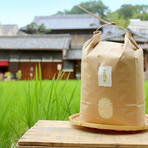 定期便【金鵄米/５分づき】冷めても美味しいヒノヒカリ