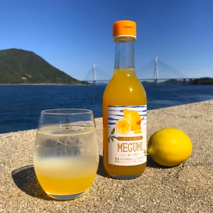 【無添加・農薬・化学肥料等不使用栽培】はちみつレモンシロップ　300ml×2本