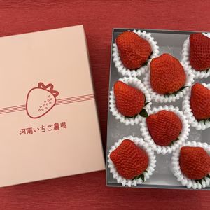 【贈答用】プレミアムいちご (特大サイズ) 8粒入り 紅ほっぺ "販売中"