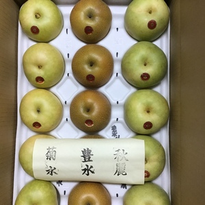 三種梨プレミアム食べ比べセット