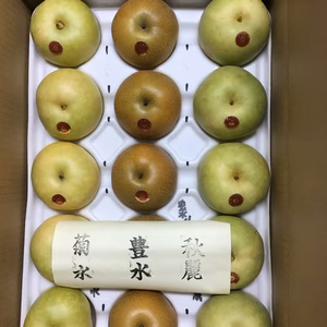 三種梨プレミアム食べ比べセット