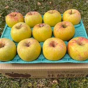 群馬県の超人気品種「ぐんま名月」