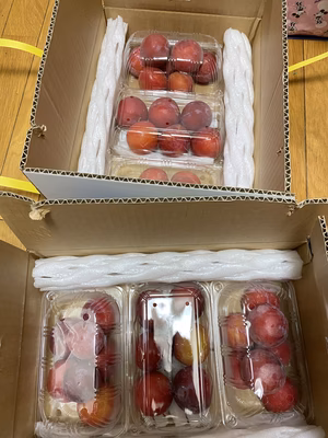 みんなの投稿の画像