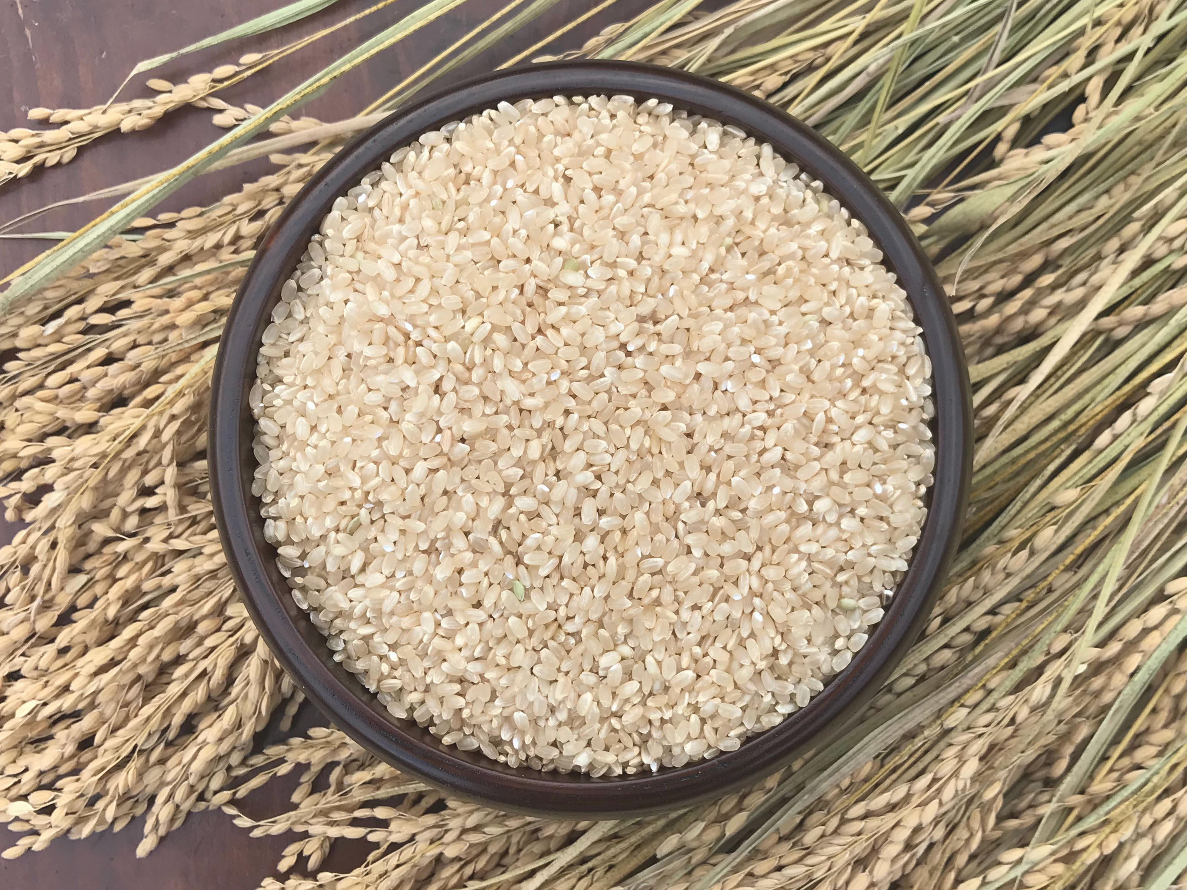 新米2025｜岩手花巻産 ササニシキ 玄米10kg｜天日干し限定米｜玄米の