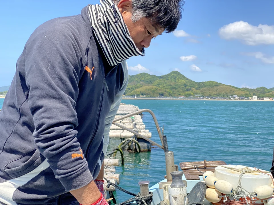 【糸島ブランド】トロ～り甘い！生食用岩ガキ・中大サイズ3kgセット（9個前後）