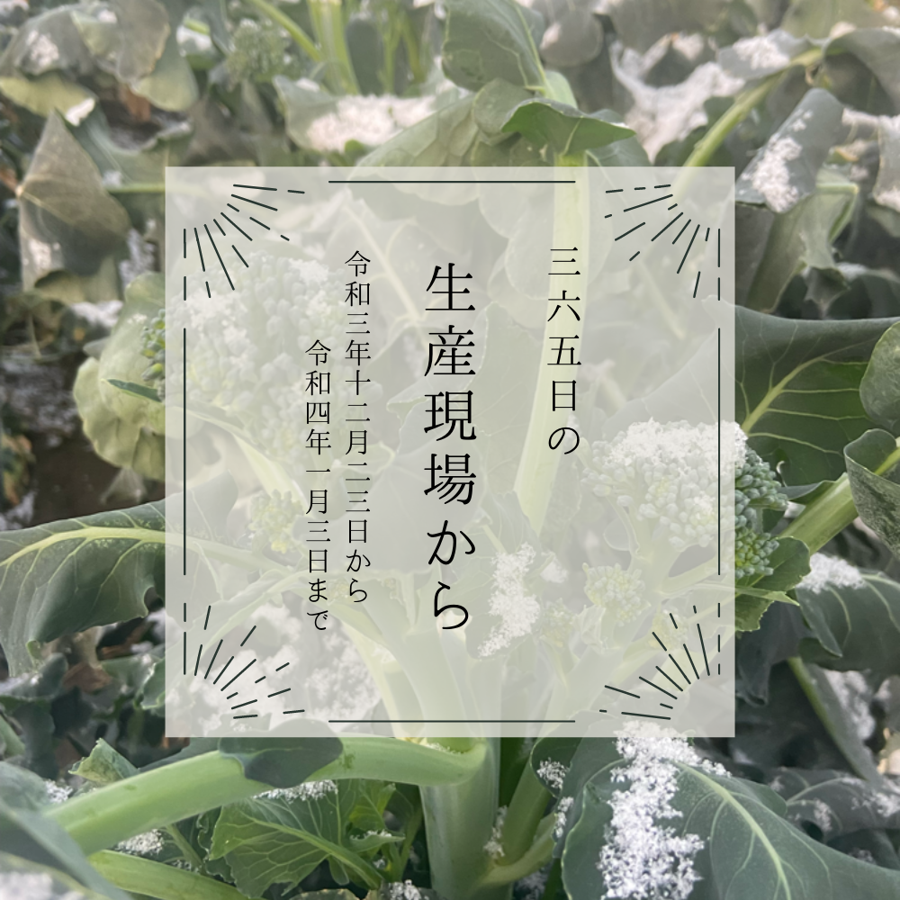 読みやすくプチリニューアルしました☃12月23日〜1月3日の生産現場から、小寒の30投稿！ | 農家漁師から産地直送の通販 ポケットマルシェ