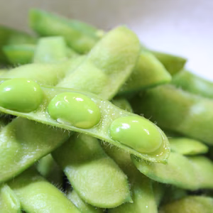 【カラダにいい！最強おつまみ】農薬・化学肥料不使用　枝付き枝豆2㎏